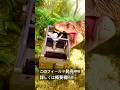 #shorts ジュラシックワールドの恐竜フィールドを自宅で再現！ティラノサウルスの迫力がすごい！