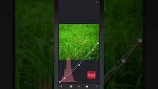 Snapseed Photography Editing 📸 Snapseed tutorial 😍 #shorts #vitalshorts #ytshorts #photography