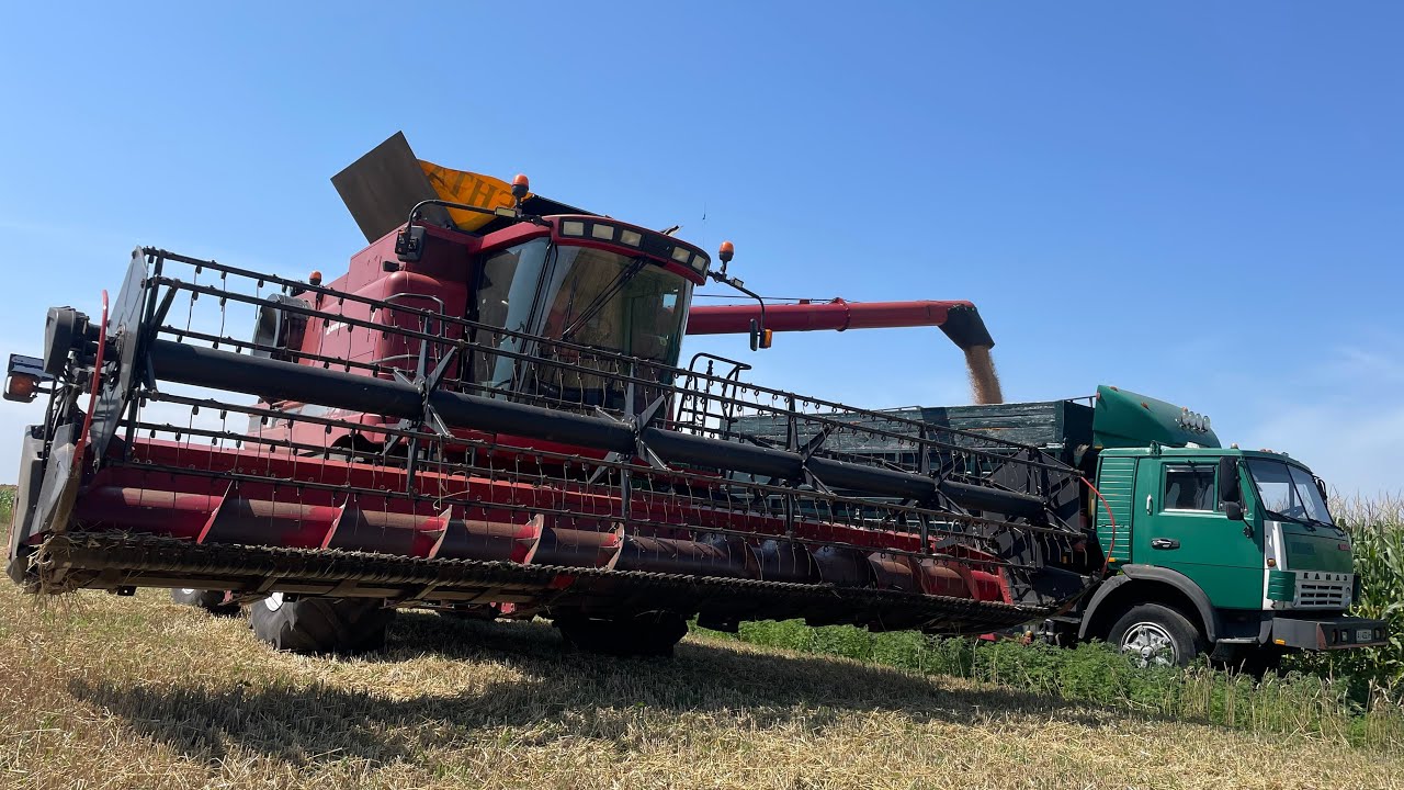 ❗️ЗАВЕРШИЛИ❗️Жнива Пшениці 2025 після сої❗️ Кейс 2388