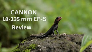 Cannon 18135 Mm Efs Zoom Lense Review With Cannon 80d sdanle Images And Footages