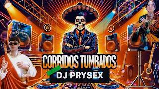 Lo Mejor de Natanael Cano 💖 Corridos Belicos -Mix Corridos Tumbados 🐾