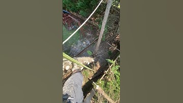 Creating progress capture systems #tree #arboriculture #outdooractivity #outdoorsport