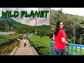 WILD PLANET Resort Devala | Luxury Jungle Resort in India