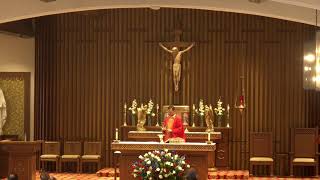 Daily Mass