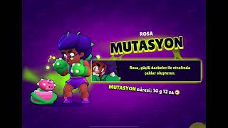 Kaıju buzz! Bacın reis demek işe yarıyor bacon gücü