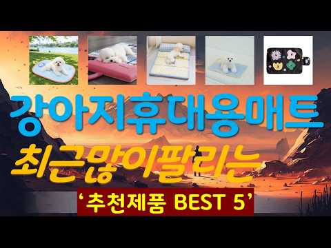 강아지휴대용매트 추천, 돈낭비 그만하세요 가성비 TOP5