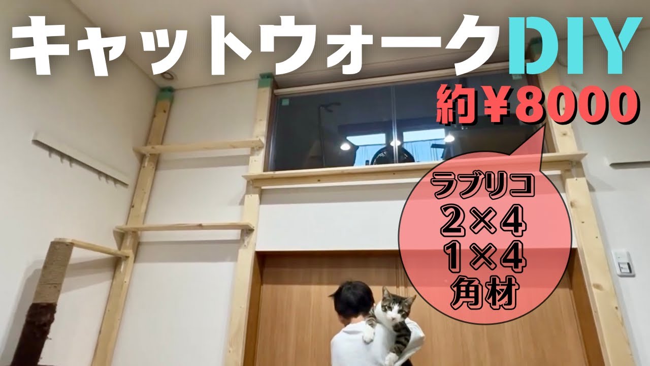 【DIY】超簡単キャットウォークDIY！ラブリコで穴開け無し！自由自在！