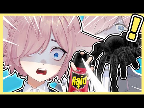 FEMBOY VS SPIDER