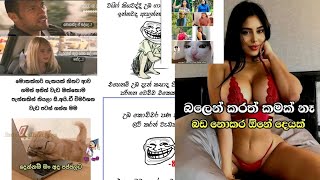 බුකියේ රස කතා A series of interesting stories from the bookie part 066 ||Gossip Lanka.