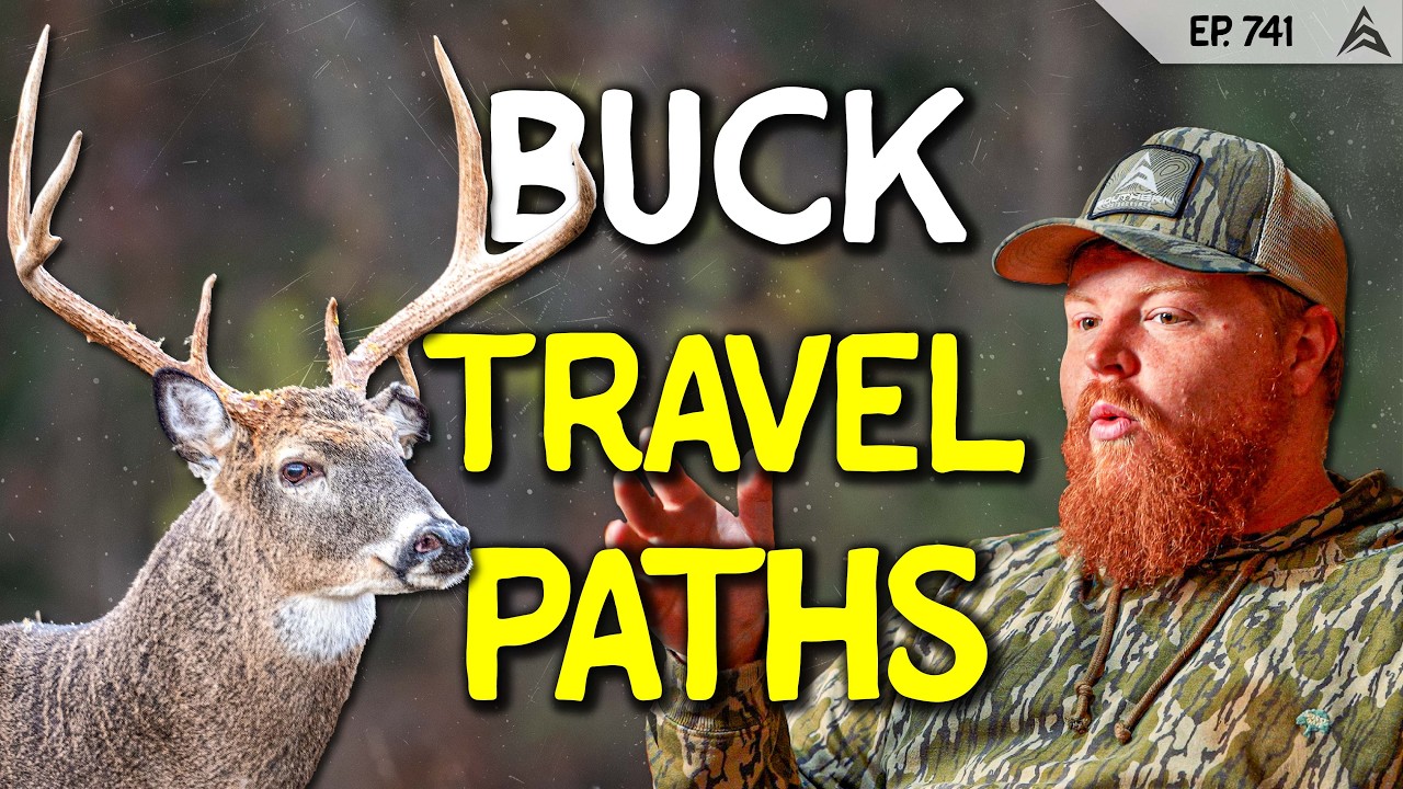 3 Ways to Decipher Buck Travel Paths | VIEWER Q&A