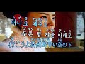 濟州島 푸른밤 青い済州島 崔 聖園 Cover