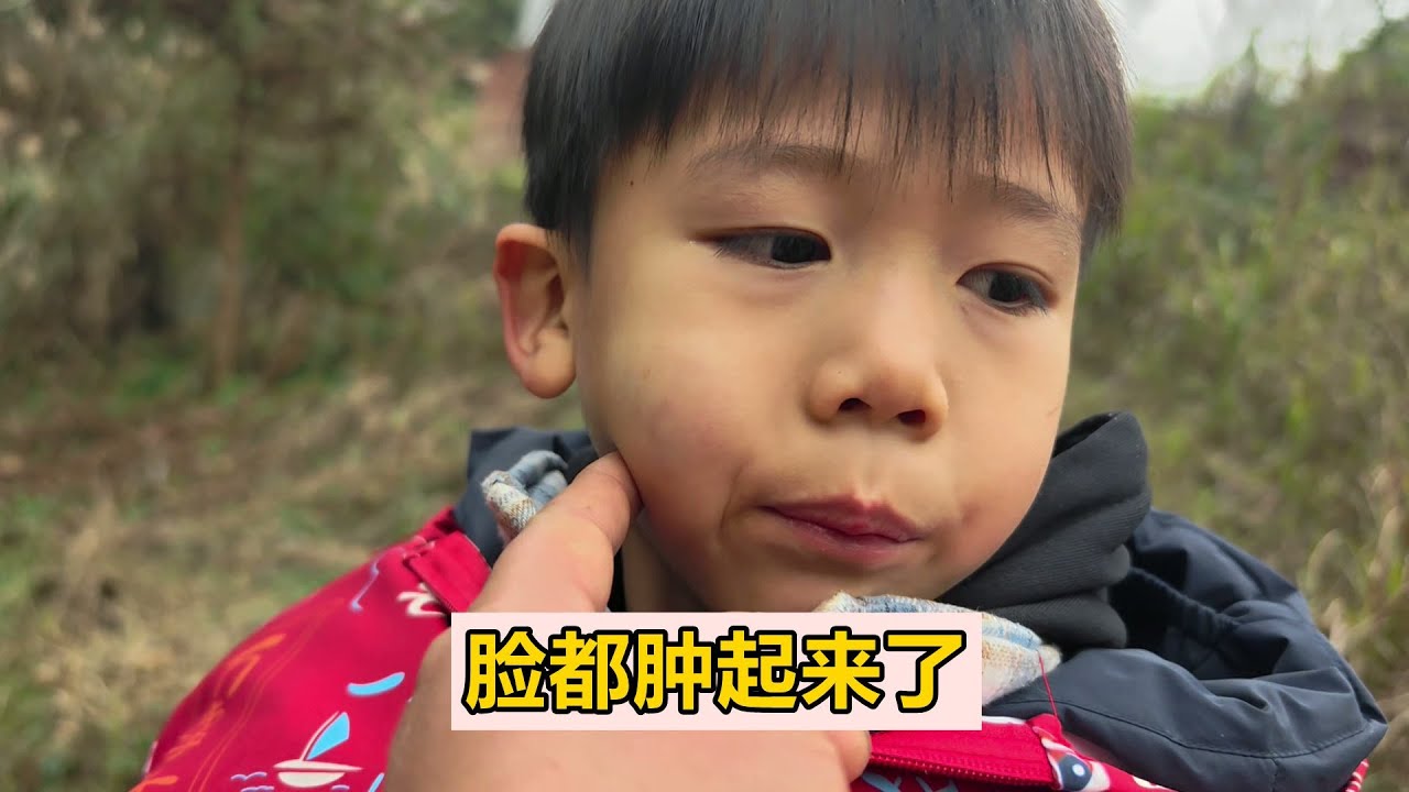 小湯圓跟博程打架，打得皮青臉腫的，三哥下廚做硬菜，嘎嘎的香【農人家三嫂】