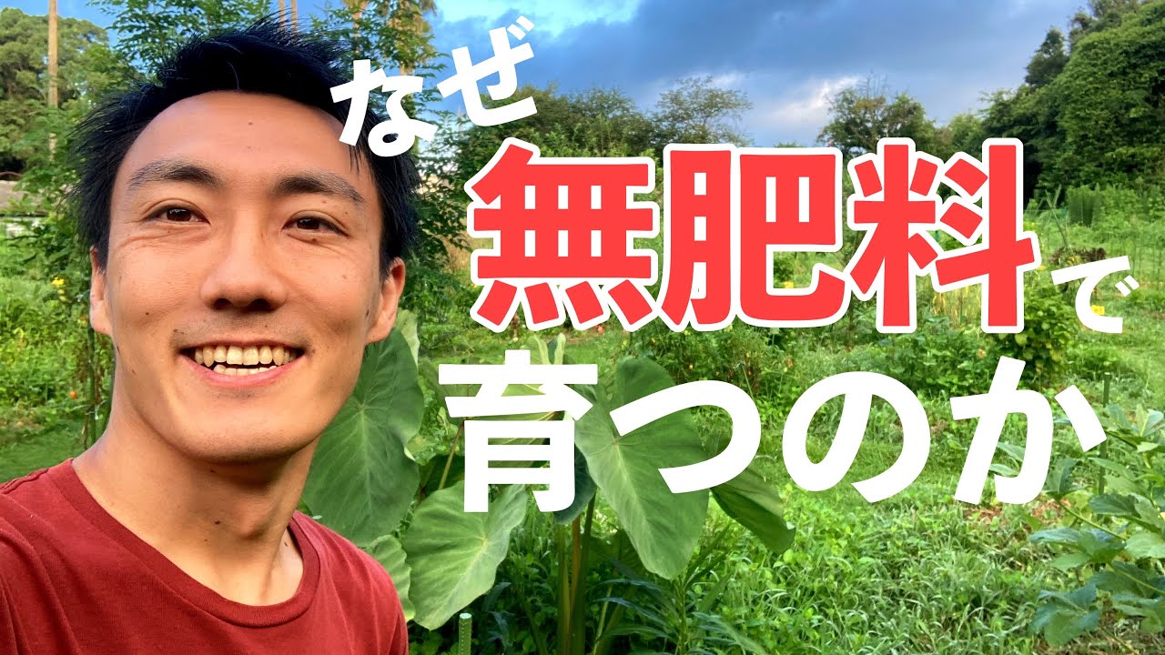 自然農が無肥料でも育つ理由。自然界の増える仕組みの謎に迫る！【自然農・パーマカルチャー】