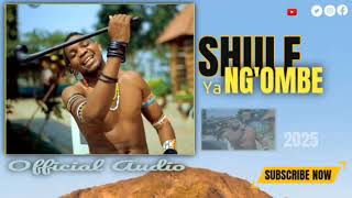 Shule Ya Ngombe Ujumbe Wa Gashema S  2025