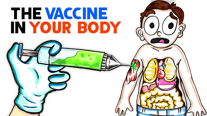 What The COVID Vaccine Does To Your Body