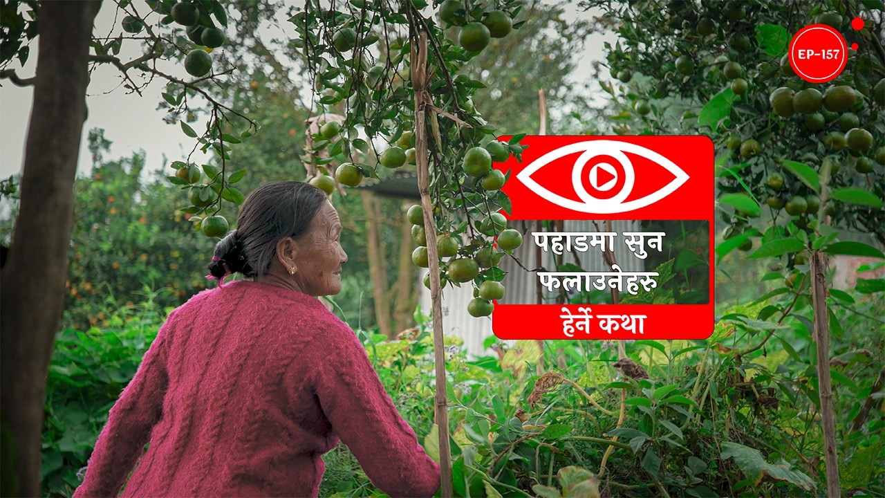 पहाडमा सुन फलाउनेहरु | Pahadma Sun Falauneharu | Herne Katha EP157 - हेर्ने कथा