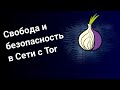Свобода и безопасность в Сети с Tor Принципы работы и разоблачение заблуждений