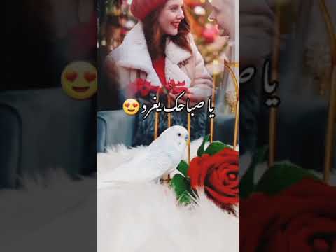 صباح الخير حبيبتي احبج والله حبيبتي حبيبتي