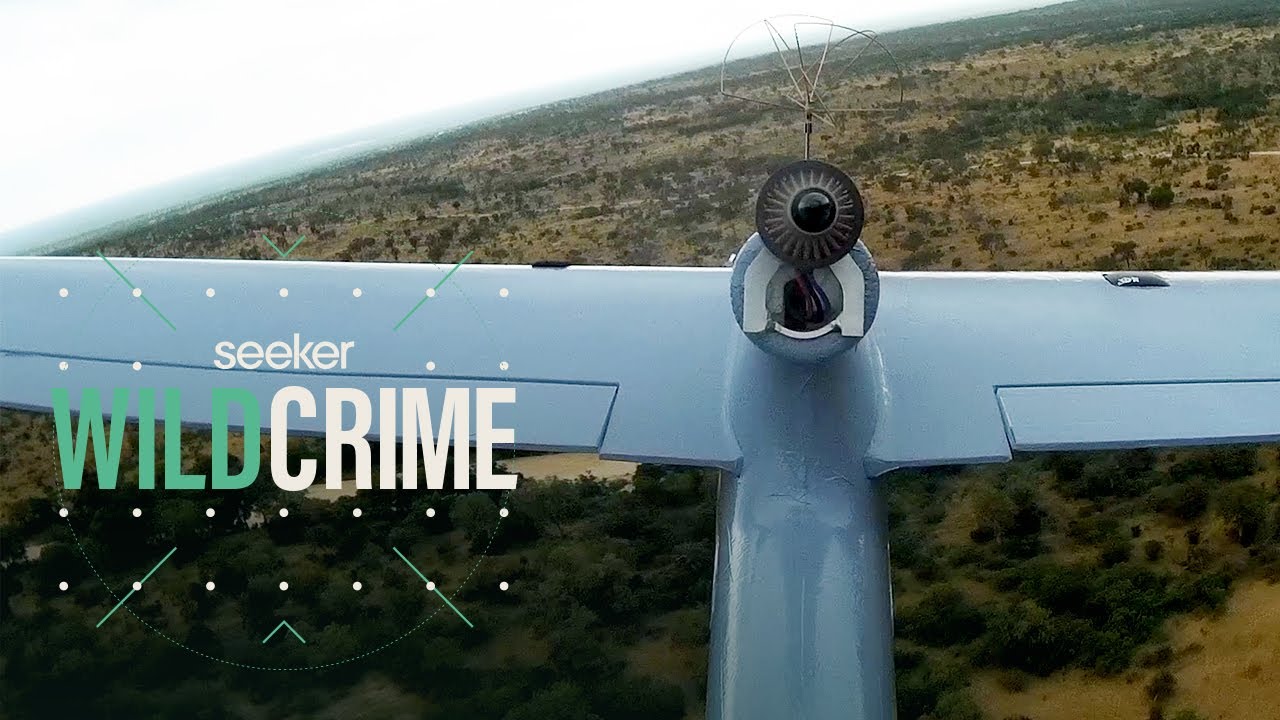 How Drones Are Fighting Poaching in South Africa