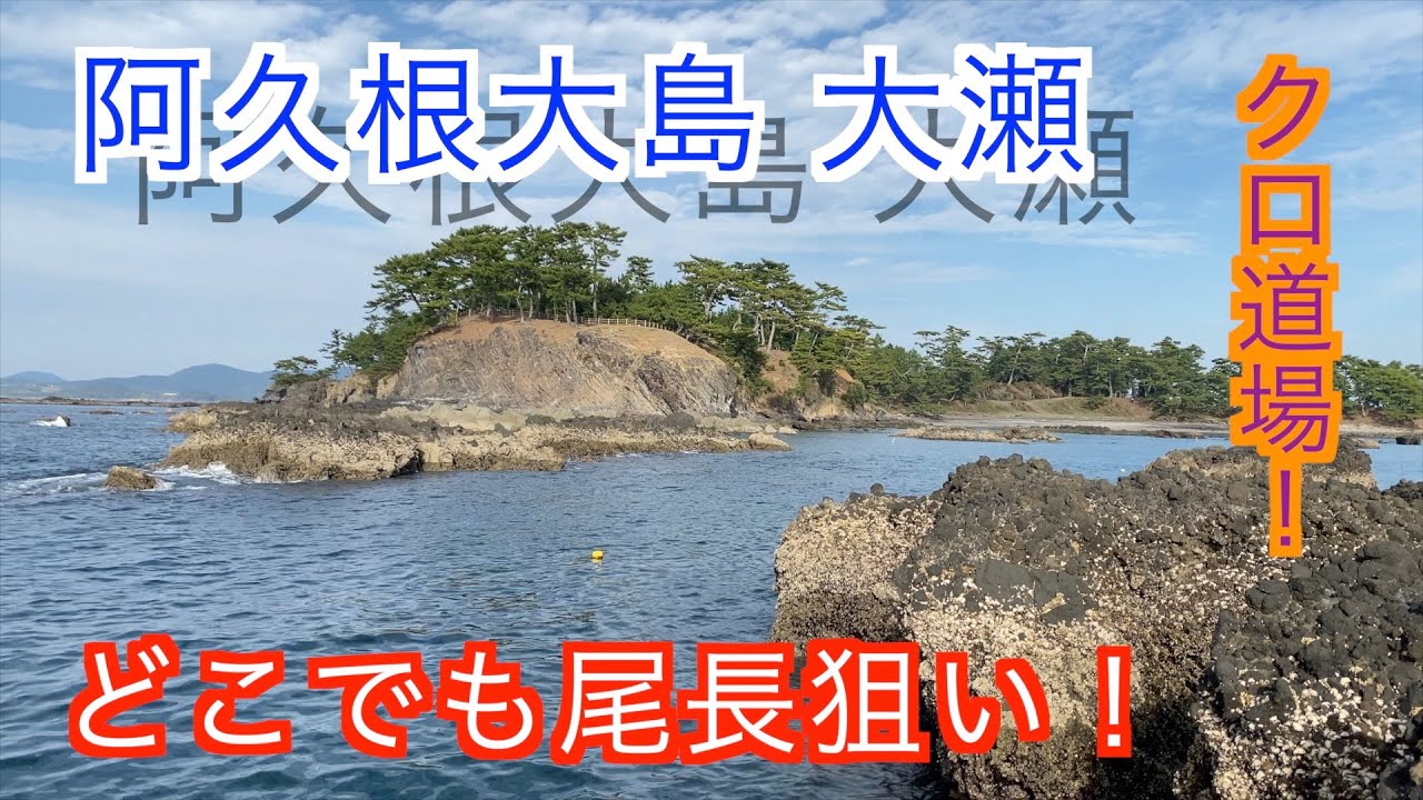 １発が出る阿久根大島で尾長狙い！
