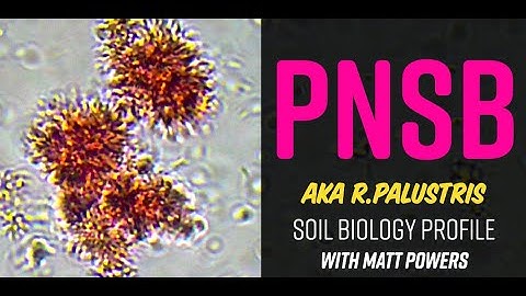 Purple NonSulfur Bacteria Profile with Matt Powers