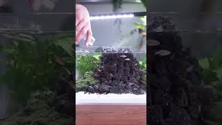 Making a Volcano Fish Tank 🌋