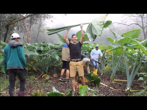Conservation in the Galapagos Islands, Projects Abroad