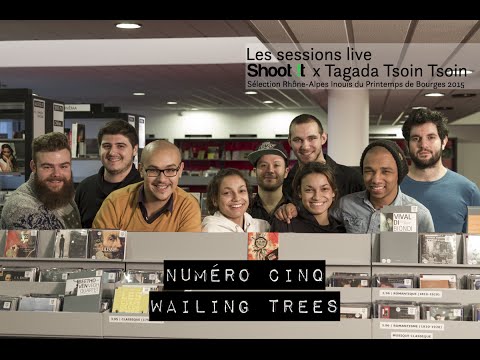 Wailing Trees "Open Up" // Les sessions live Shoot it + Tagada Tsoin Tsoin 2015 NUMERO CINQ