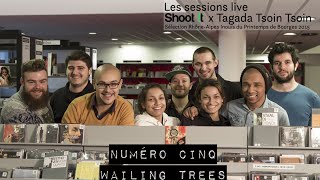 Wailing Trees Open Up // Les sessions live Shoot it + Tagada Tsoin Tsoin 2015 NUMERO CINQ