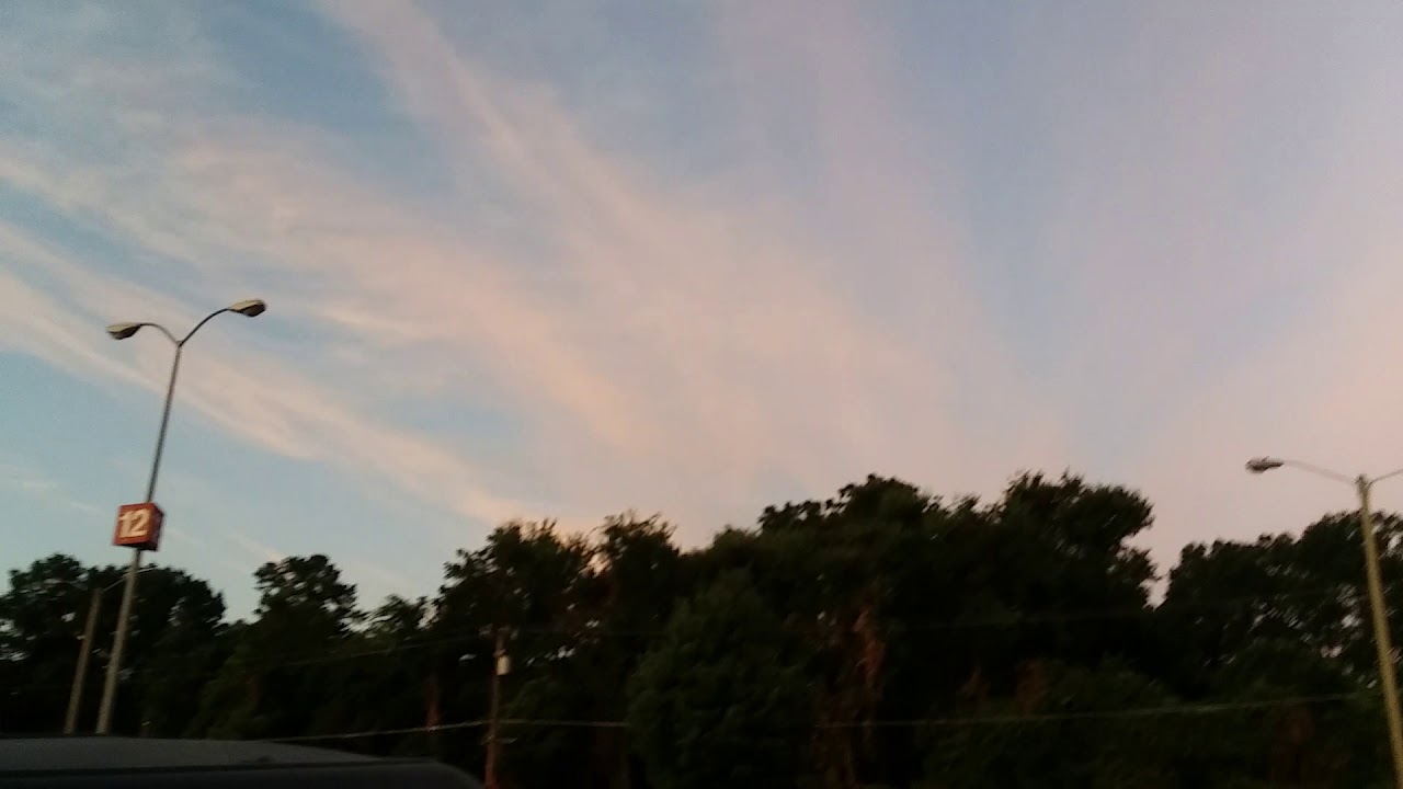 PART 2 EVIDENCE (LOD)(2)