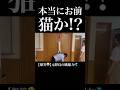 本当にお前、猫か!?😂【爆笑】元野良猫の跳躍力が低すぎる件💦 　#猫のいる暮らし #猫 #保護猫 #おもしろい猫
