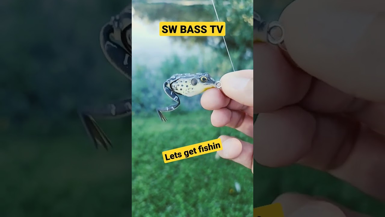 lunkerhunt pocket frog topwater testing  targeting largemouth  sw bass tv