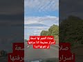 لا تحزن نافلة اقتباسات تسامح استغفار صبر الجزائر رضا صلاة الجماعة سوريا لا تحزن نافلة اقتباسات تسامح استغفار صبر الجزائر رضا صلاة الجماعة سوريا