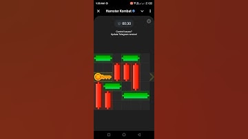 13 August cipher code hamster combat daily cipher code 13 /14August 2024 today combo card mini game
