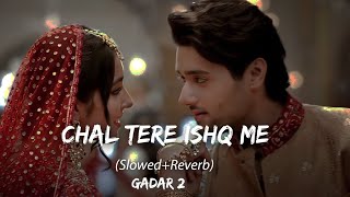 Chal Tere Ishq Mein Pad Jaate Hain | Slowed Reverb| Gadar 2 | Sunny Deol, Ameesha Patel | New Song