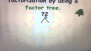 Prime Factorization