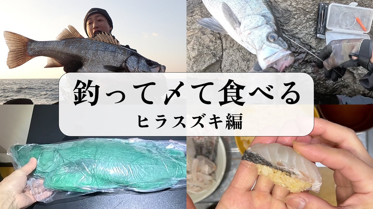 【釣りも料理も本気】ヒラスズキを釣って〆て保存。捌いて食べる最高の田舎暮らし。