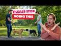 Stop Trying to Socialize Your Dog By Doing This