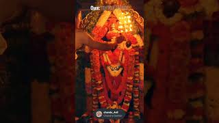 His divinity is true bliss to the eyes. 🙏#LordBalaji #Govinda #Bhakti #Divine #SpiritualVibes #Reels