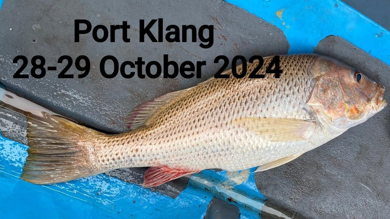 Port Klang Offshore Fishing Chapter 2