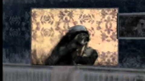 Fatal Frame 4: Mask of the Lunar Eclipse - Part 14