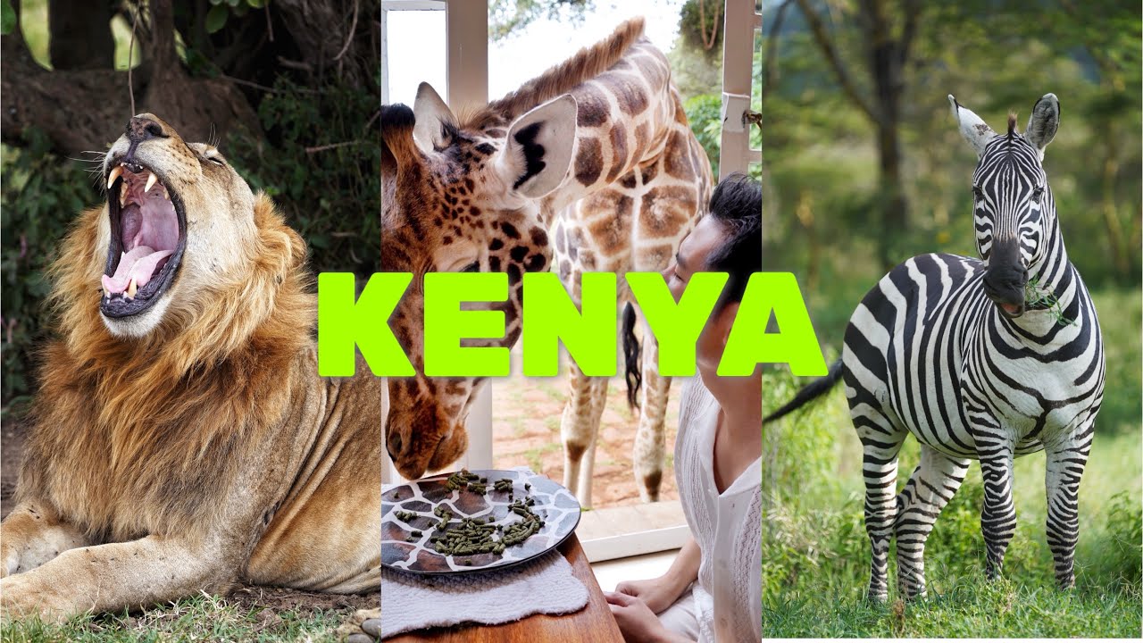 KENYA TRAVEL VLOG | Safari Wildlife | Great Migration | Samburu | Sasaab Camp | Luxury Camping