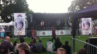 Collet Park Festival 2014 Shepton Mallet
