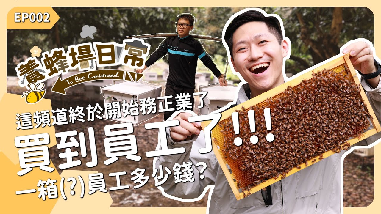 這頻道終於開始務正業了！一箱員工多少錢？《養蜂場日常 EP002》