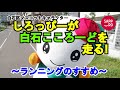 しろっぴーが白石こころーどを走る~ランニングのすすめ~