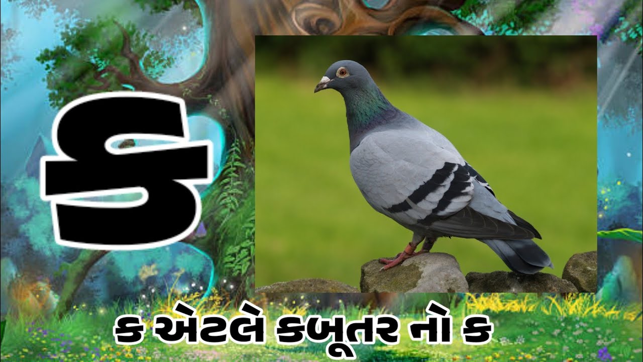 gujrati kakko| ગુજરાતી કક્કો|gujrati kakko video|gujrati kakko writing|kakko|