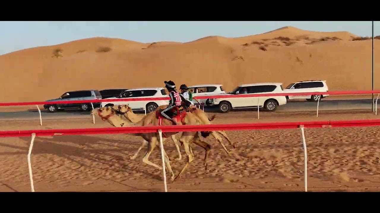 اللبسة 19-4-2025 ش7 محمد الطيب الكناني 2:27