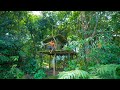 Building The Most Beautiful Bamboo Villa in the Wild by Ancient Skills