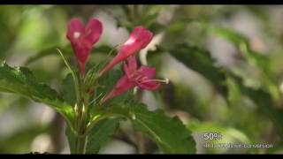 Test shooting with the Panasonic DVX200 4K camcorder
