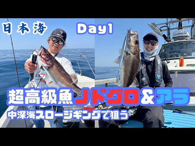 超高級魚「ノドグロ」と幻の魚「アラ」を釣る新潟県中深海スロー